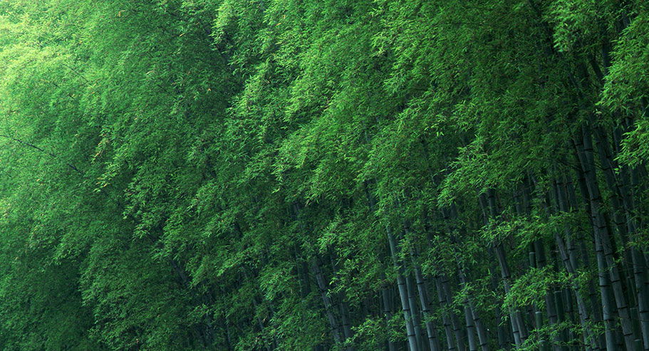 Jiaxing Xuanyi International Trade Co.,Ltd